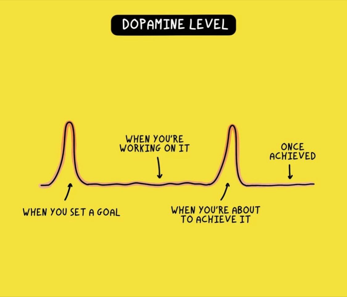 View of Dopamine - Blue Thinking International Coaching
