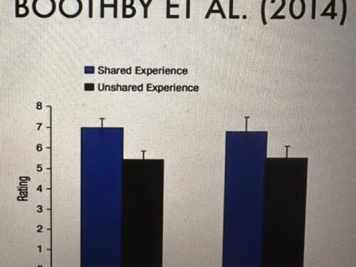 The Power of Shared Experiences: How Togetherness Amplifies Joy and Connection